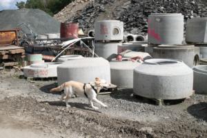 Training Manderbach Lauber 06.09 (107)