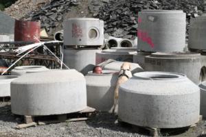 Training Manderbach Lauber 06.09 (108)