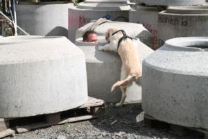 Training Manderbach Lauber 06.09 (109)