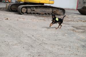 Training Manderbach Lauber 06.09 (112)