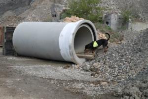 Training Manderbach Lauber 06.09 (114)
