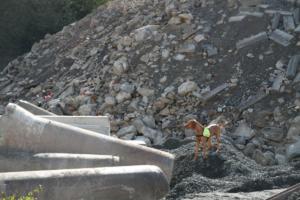 Training Manderbach Lauber 06.09 (015)