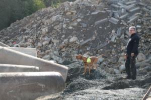 Training Manderbach Lauber 06.09 (017)