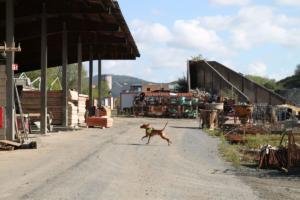 Training Manderbach Lauber 06.09 (002)