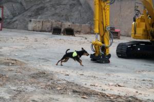 Training Manderbach Lauber 06.09 (039)