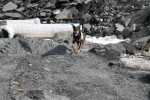Training Manderbach Lauber 06.09 (042)