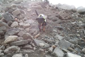 Training Manderbach Lauber 06.09 (049)