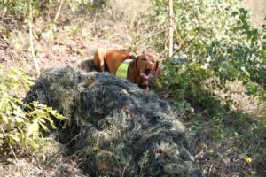 Training Manderbach Lauber 06.09 (006)