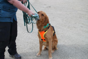 Training Manderbach Lauber 06.09 (69)