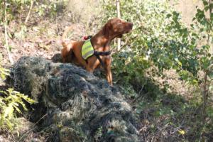 Training Manderbach Lauber 06.09 (8)